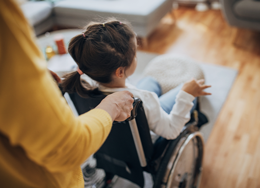 Special Needs Planning in California: Attorneys' Definitive Guide