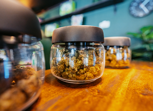 Cannabis Business Operations in New Mexico