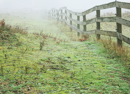 Resolving Complex Easement Issues