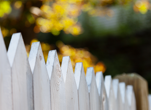 Neighbor Boundary Disputes: Trees, Fences, Noise, and More