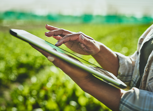 Land Use Application Boot Camp: Conditional Use Permits, Variances, Subdivisions, and More