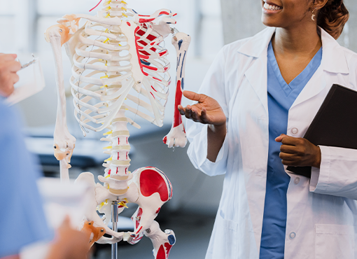 Anatomy and Physiology Essentials for Attorneys