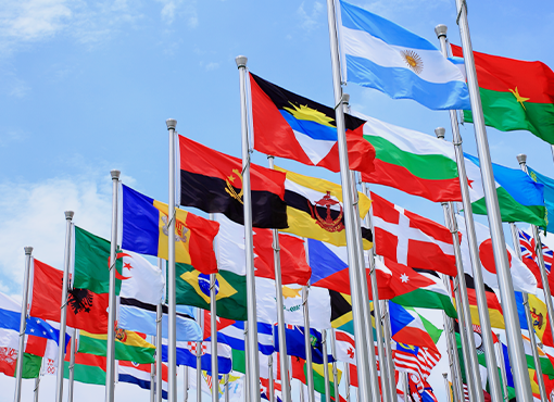 Foreign Investment  and International Tax Updates 2024 for Estate Planning