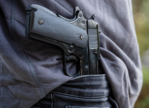 Foundations of Firearms Law