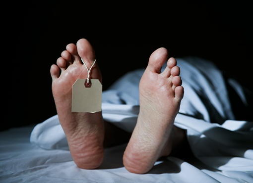 Finnegan is DEAD! A Walk Through a Fictional Probate Case