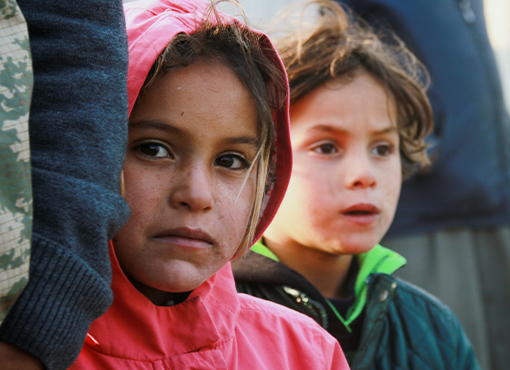 Asylum and Refugee Law Basics: A Path to Advocacy