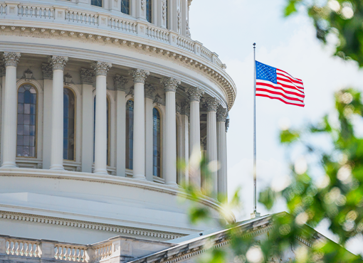 Government Contracting 101