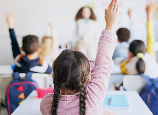 Education Law Under Review: What Now?