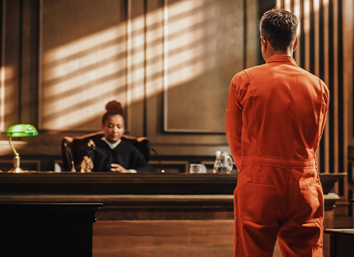 From Scene to Sentencing: Criminal Case Mechanics Revealed Through True Crime Stories