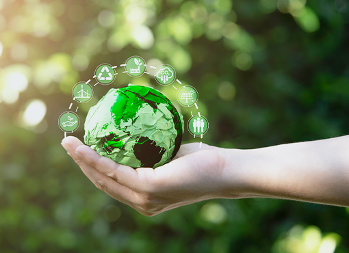 Environmental Law Essentials