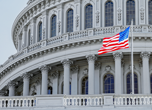 Government Contracts 2025: Executive Orders Edition
