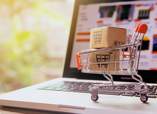Advising Small Business on Online Commerce