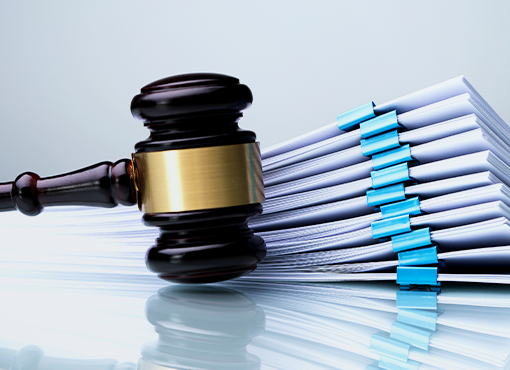 Civil Motion Practice in Federal Court (With Examples)