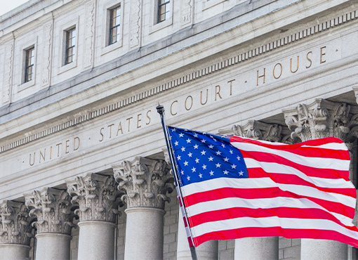 Federal Court 101