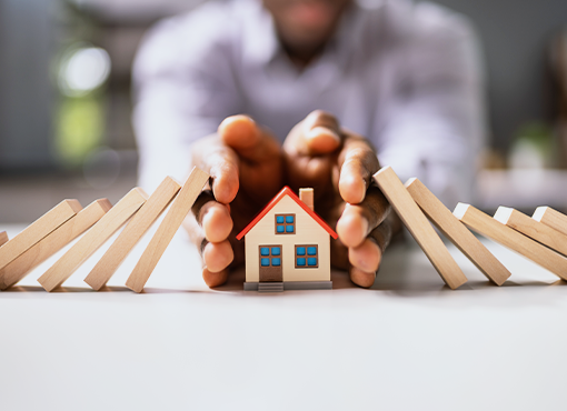 Homestead Property in Probate