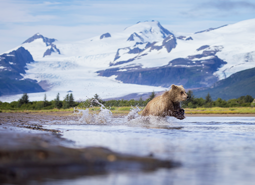Alaska Native and Tribal Law