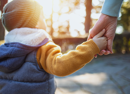 Advanced Custody and Support Issues in California