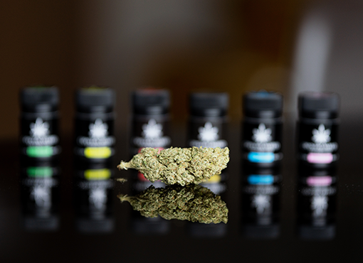 Marijuana Business Operations in Montana